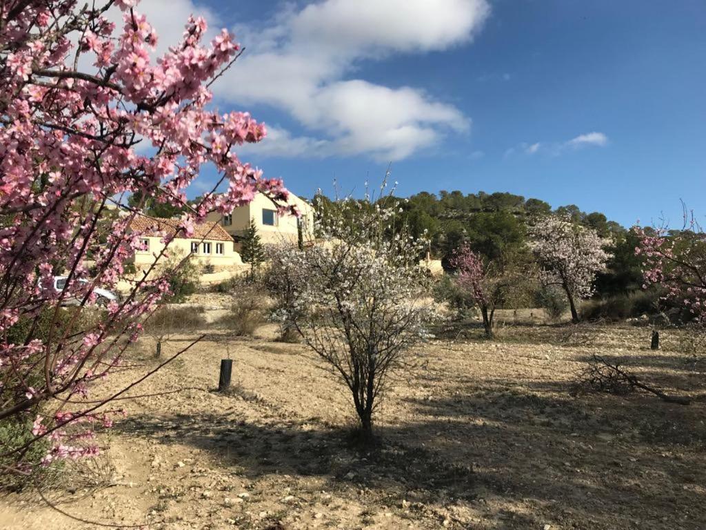 Finca Las Estrellas Relleu Buitenkant foto